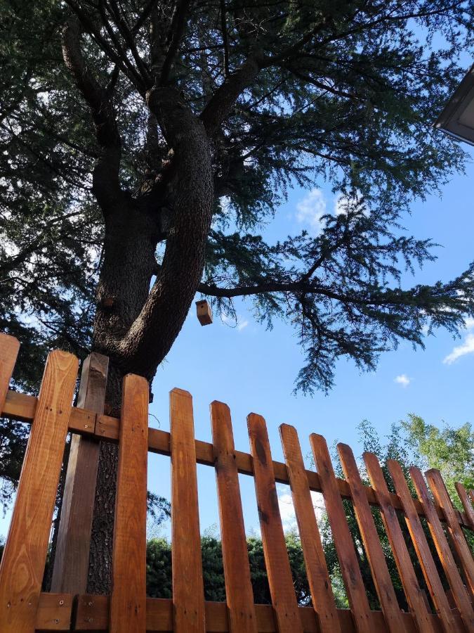 Appartamento El Motivo Cercedilla Esterno foto
